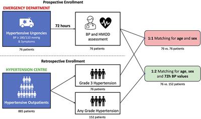 Cardiovascular Hypertension-Mediated Organ Damage in Hypertensive Urgencies and Hypertensive Outpatients